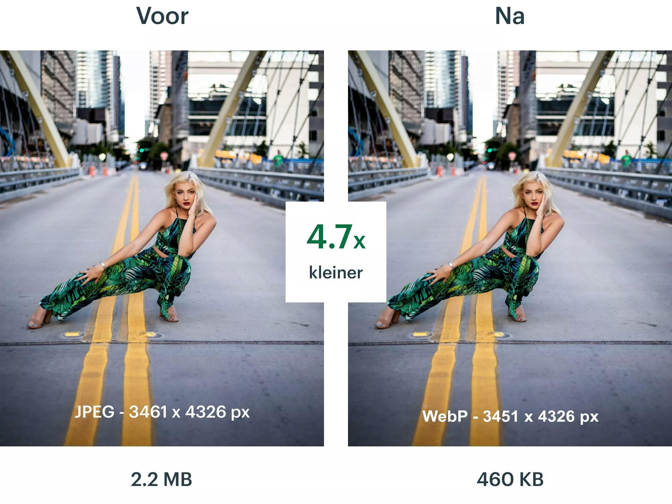The same photo, 4.7x smaller, with no manual work