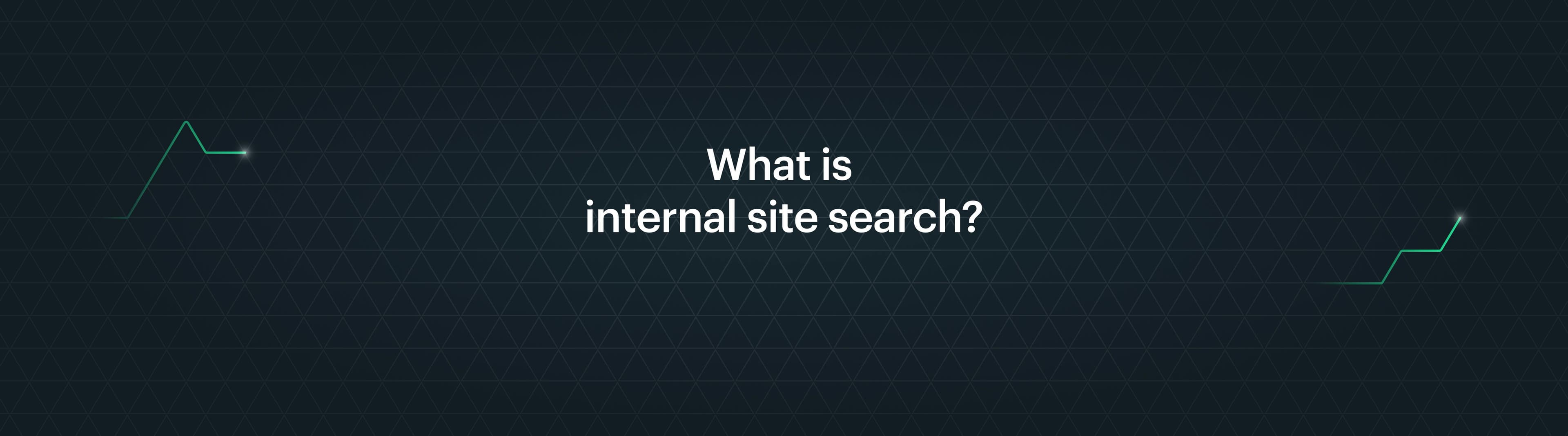 Wat is interne site search?