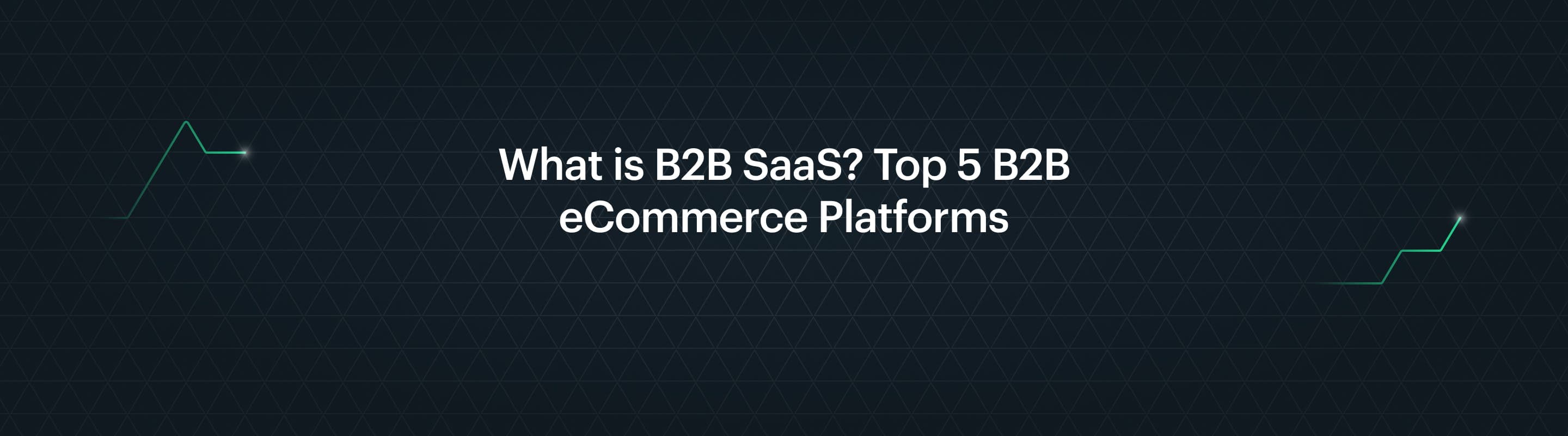 Wat is B2B SaaS? Top 5 B2B e-commerce Platformen