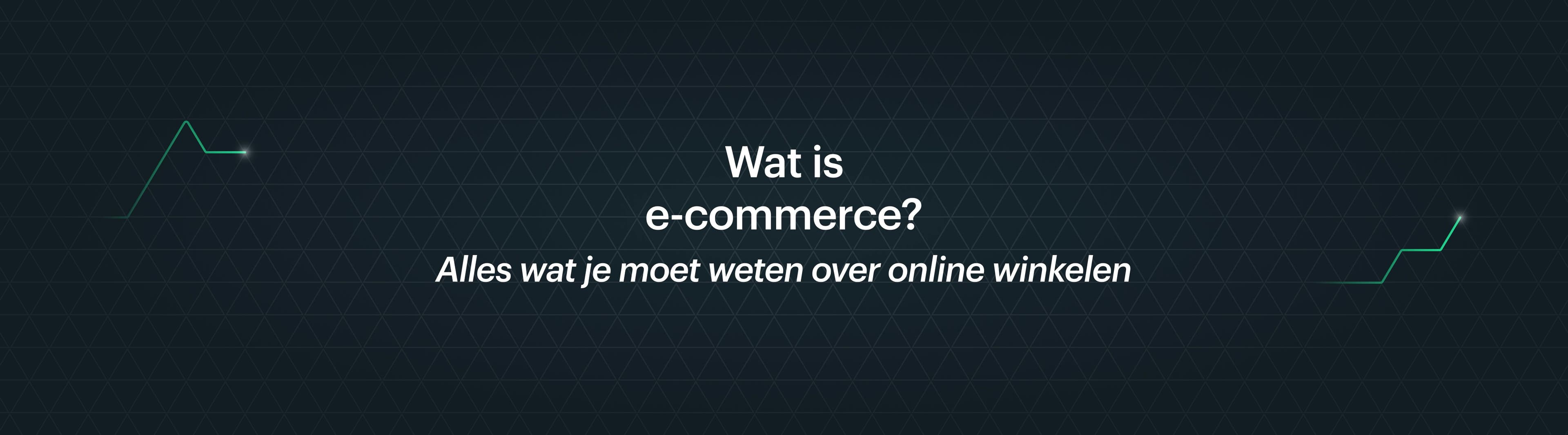 Wat is e-commerce? Alles wat je moet weten over online winkelen