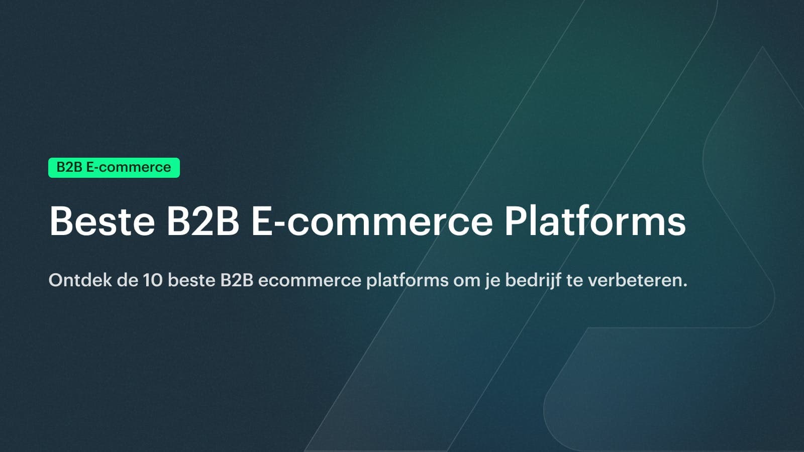 10 Beste B2B E-commerce Platforms in 2025